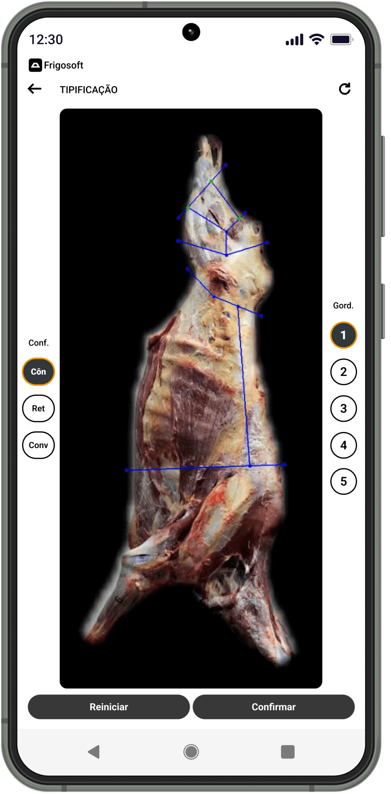 Smartphone com aplicativo Frigosoft aberto fazendo a tipificação de carcaça com inteligência artificial